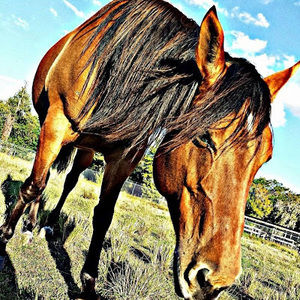 Meet your Posher, Summer